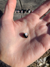 Load image into Gallery viewer, Penguin pearl