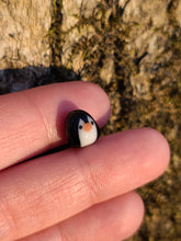 Load image into Gallery viewer, Penguin pearl