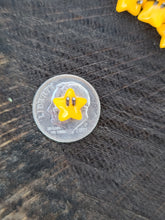 Load image into Gallery viewer, Star pearl