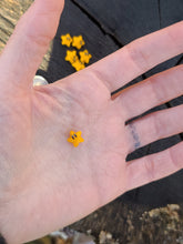 Load image into Gallery viewer, Star pearl