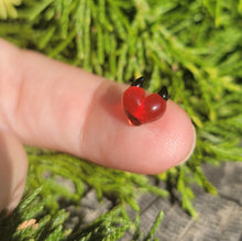 Load image into Gallery viewer, Horny Heart