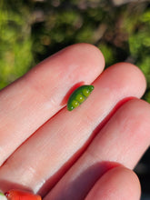 Load image into Gallery viewer, Vegetable pearl Sale (40 each or three for 90)