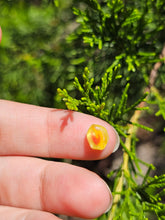 Load image into Gallery viewer, Evolution stones pearls