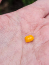 Load image into Gallery viewer, Sanrio pearls