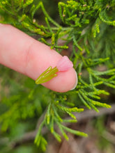 Load image into Gallery viewer, Tulip pillar