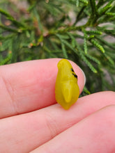 Load image into Gallery viewer, Oogie Boogie pearl