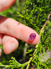 Load image into Gallery viewer, Evolution stones pearls