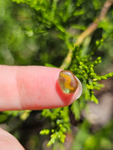 Load image into Gallery viewer, Evolution stones pearls