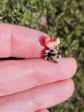 Load image into Gallery viewer, Krokorok pearl