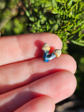 Load image into Gallery viewer, Vegetable pearl Sale (40 each or three for 90)