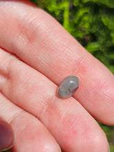 Load image into Gallery viewer, Evolution stones pearls