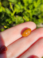 Load image into Gallery viewer, Vegetable pearl Sale (40 each or three for 90)