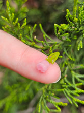 Load image into Gallery viewer, Tulip pillar