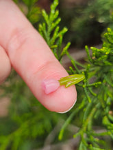 Load image into Gallery viewer, Tulip pillar