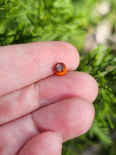 Load image into Gallery viewer, Kenny head pearl 4.5mm - made to order