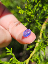 Load image into Gallery viewer, Evolution stones pearls