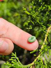 Load image into Gallery viewer, Evolution stones pearls