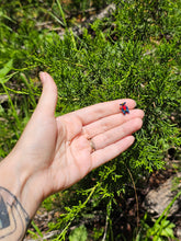 Load image into Gallery viewer, Garchomp pearl