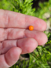 Load image into Gallery viewer, Kenny head pearl 4.5mm - made to order