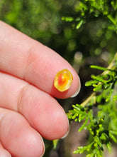 Load image into Gallery viewer, Evolution stones pearls