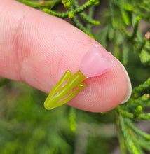 Load image into Gallery viewer, Tulip pillar