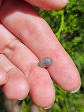 Load image into Gallery viewer, Evolution stones pearls