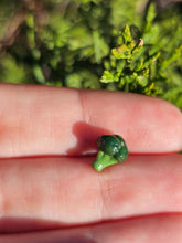 Load image into Gallery viewer, Vegetable pearl Sale (40 each or three for 90)