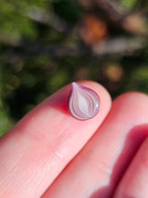 Load image into Gallery viewer, Vegetable pearl Sale (40 each or three for 90)