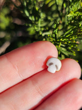 Load image into Gallery viewer, Vegetable pearl Sale (40 each or three for 90)