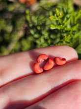 Load image into Gallery viewer, Vegetable pearl Sale (40 each or three for 90)