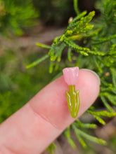 Load image into Gallery viewer, Tulip pillar