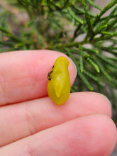 Load image into Gallery viewer, Oogie Boogie pearl