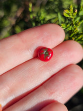 Load image into Gallery viewer, Vegetable pearl Sale (40 each or three for 90)