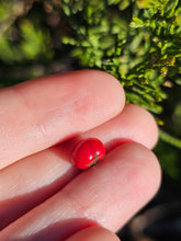 Load image into Gallery viewer, Vegetable pearl Sale (40 each or three for 90)