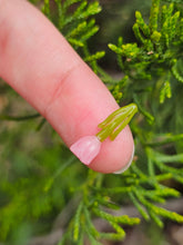 Load image into Gallery viewer, Tulip pillar