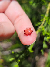 Load image into Gallery viewer, Evolution stones pearls