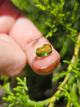 Load image into Gallery viewer, Evolution stones pearls