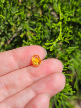 Load image into Gallery viewer, Evolution stones pearls