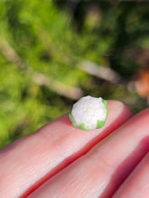 Load image into Gallery viewer, Vegetable pearl Sale (40 each or three for 90)