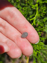 Load image into Gallery viewer, Evolution stones pearls