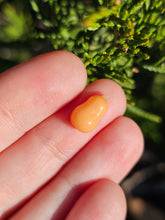 Load image into Gallery viewer, Vegetable pearl Sale (40 each or three for 90)