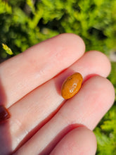 Load image into Gallery viewer, Vegetable pearl Sale (40 each or three for 90)