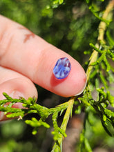 Load image into Gallery viewer, Evolution stones pearls