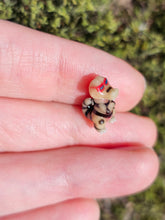 Load image into Gallery viewer, Krokorok pearl