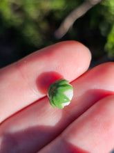 Load image into Gallery viewer, Vegetable pearl Sale (40 each or three for 90)