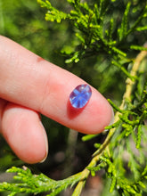 Load image into Gallery viewer, Evolution stones pearls