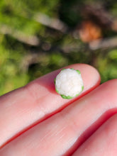 Load image into Gallery viewer, Vegetable pearl Sale (40 each or three for 90)