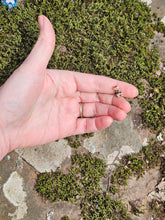 Load image into Gallery viewer, Krokorok pearl