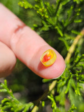 Load image into Gallery viewer, Evolution stones pearls