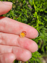 Load image into Gallery viewer, Evolution stones pearls